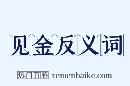 见金反义词是什么意思的图片